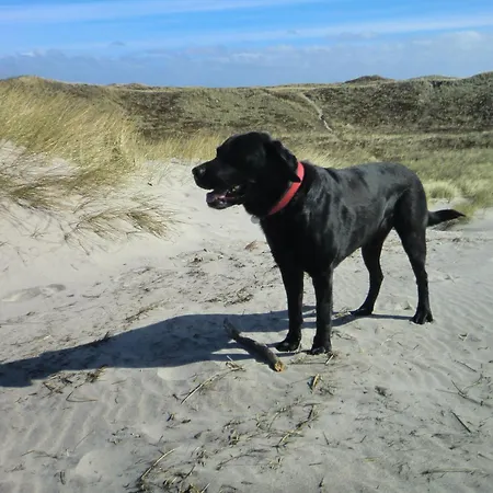 Sta200 Duenengras * Timmendorfer Strand